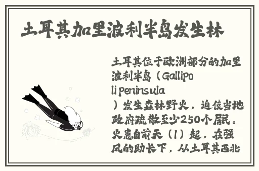 榴莲.COMBO深夜释放自己